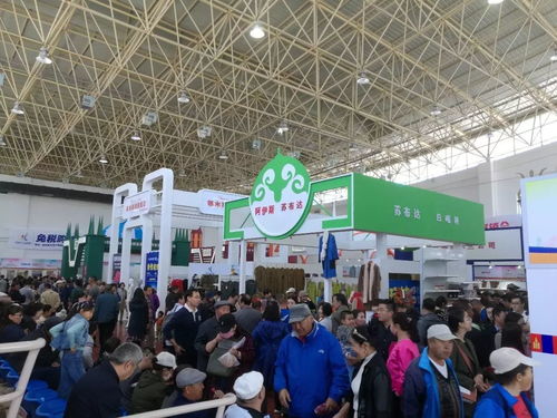 第十三屆中俄蒙經貿洽談暨商品展銷會圓滿落幕，俄蒙展廳現場火爆彰顯區域合作新活力